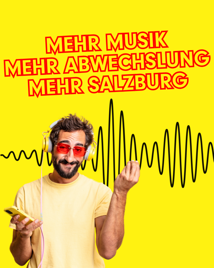 Mediax Referenzen Antenne Salzburg