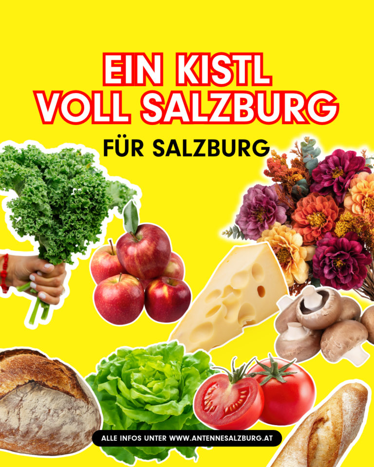 Mediax Referenzen Antenne Salzburg